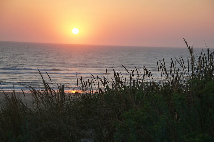 biscarrosse, atlantic, dune, ocean, sea, sunset, relax, rock HD wallpaper