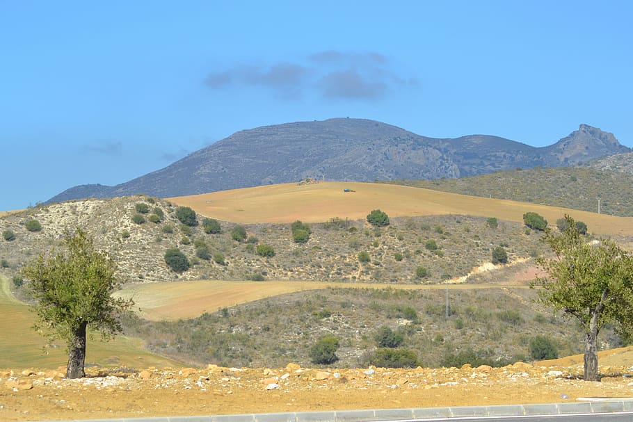 Mountain, Spain, Tree, Landscape, Nature, mediterranean, view HD wallpaper