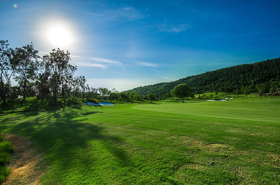 green grass field near trees, Golf, Blue Sky, White Cloud, scenics HD wallpaper