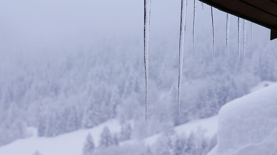 Snow, Icicle, Cold, Snowy, winter, cold temperature, weather HD wallpaper