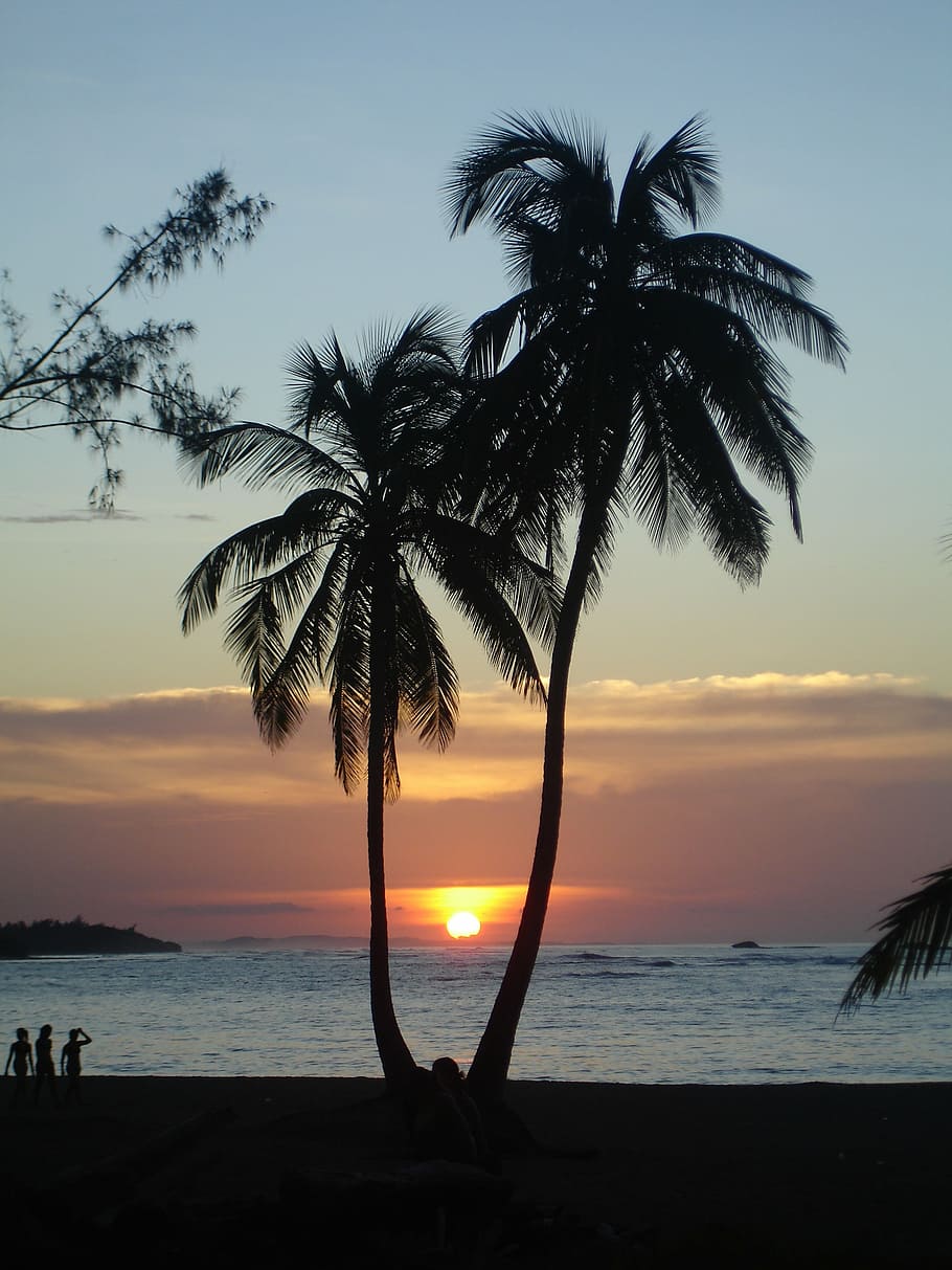 sunset, palms, tropical, beach, vacation, tourism, sky, water HD wallpaper
