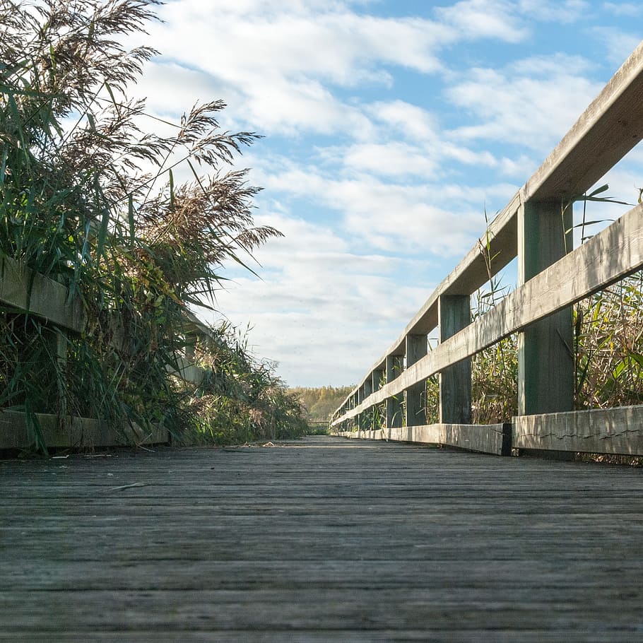 landscape, bridge, sky, nature, trail, hiking, blue, reed, built structure HD wallpaper