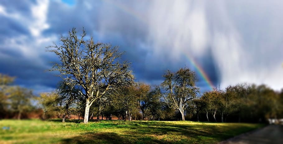 landscape, storm, rain, screen, the sun, clouds, nature, sky HD wallpaper