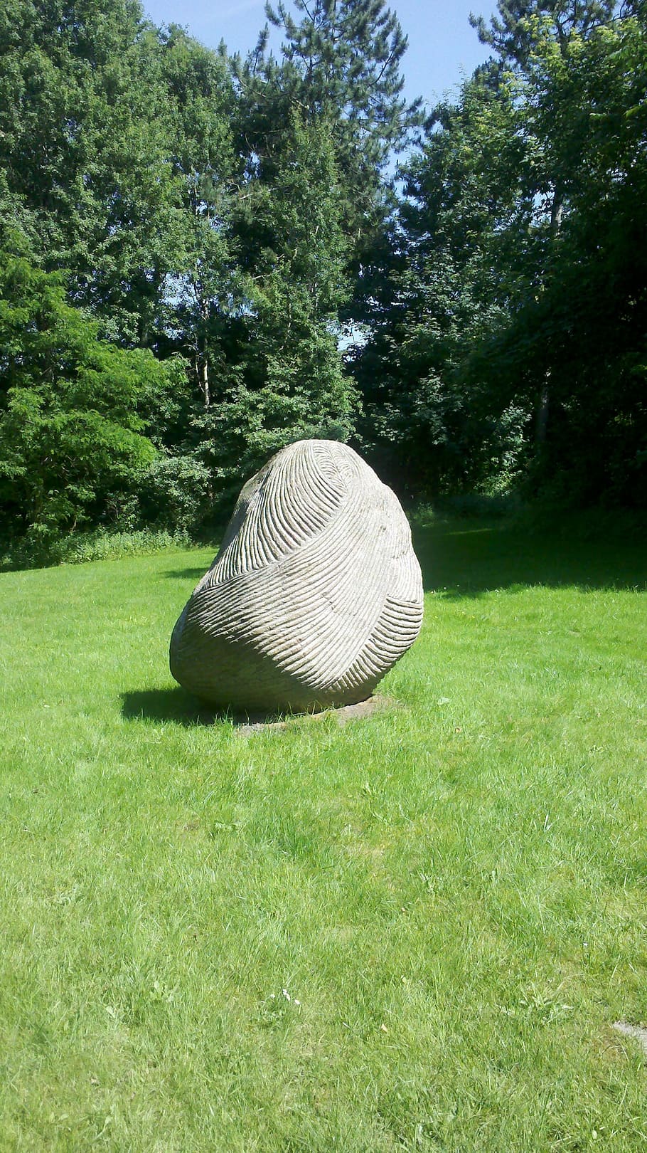 art, stone, rush, plant, grass, tree, green color, land, nature HD wallpaper