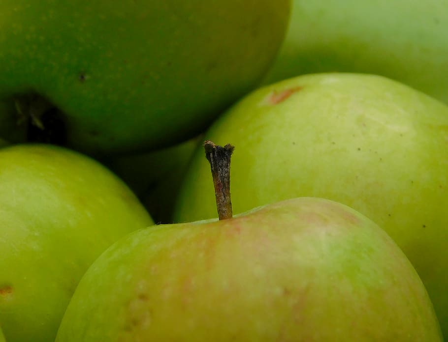 apple, obstfall, fruit, fruits, vitamins, healthy, green apple HD wallpaper