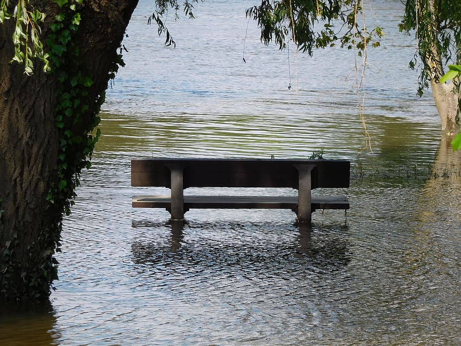 bench, river, flood, water, nature, lake, tree, waterfront HD wallpaper