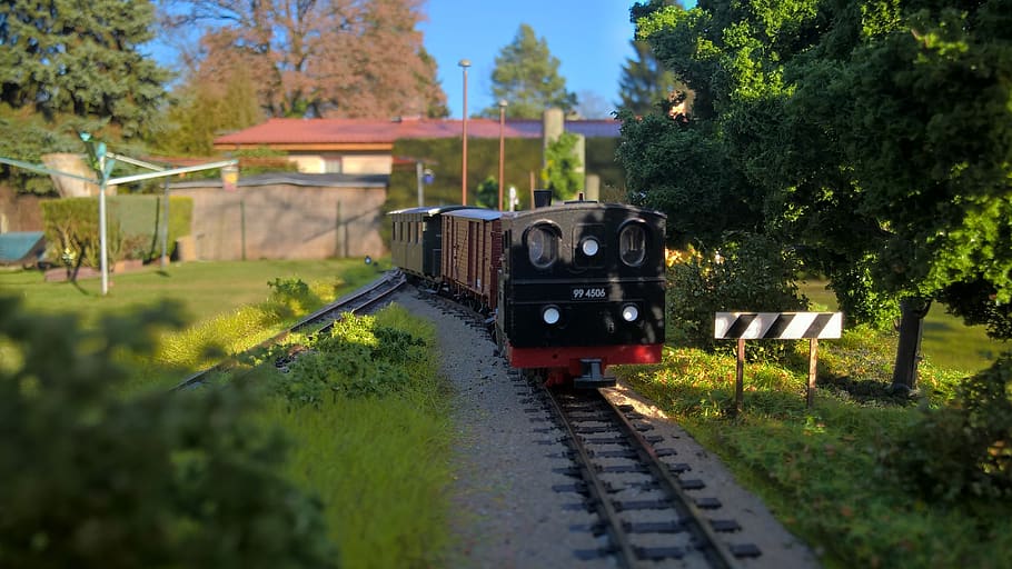 model railway, nature, model train, plant, train - vehicle HD wallpaper