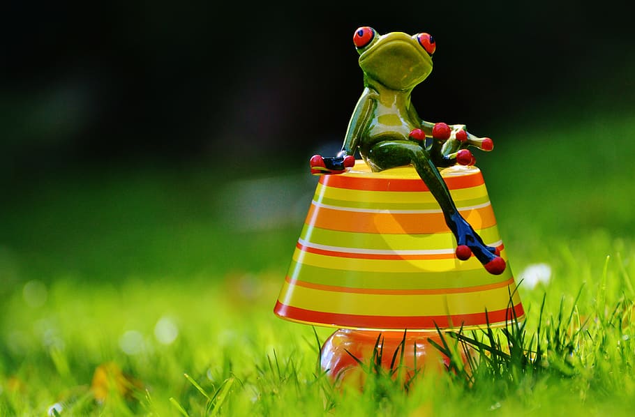 Lamp, Frog, Romantic, Stripes, summer colors, lampshade, mood HD wallpaper