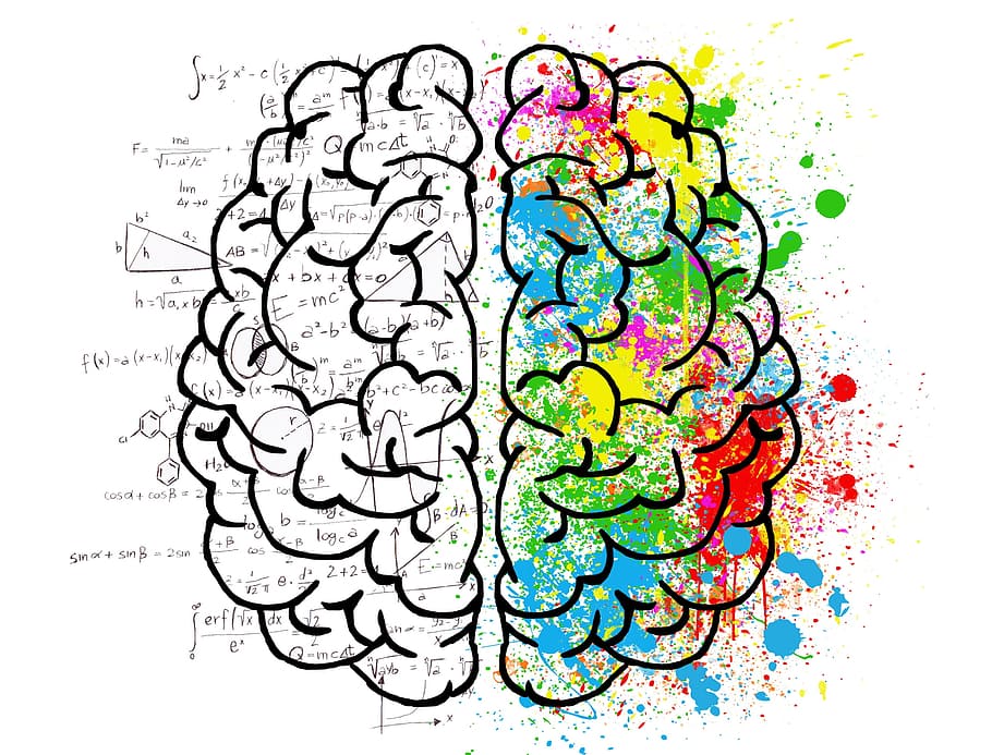 multicolored brain illustration, mind, psychology, idea, hearts