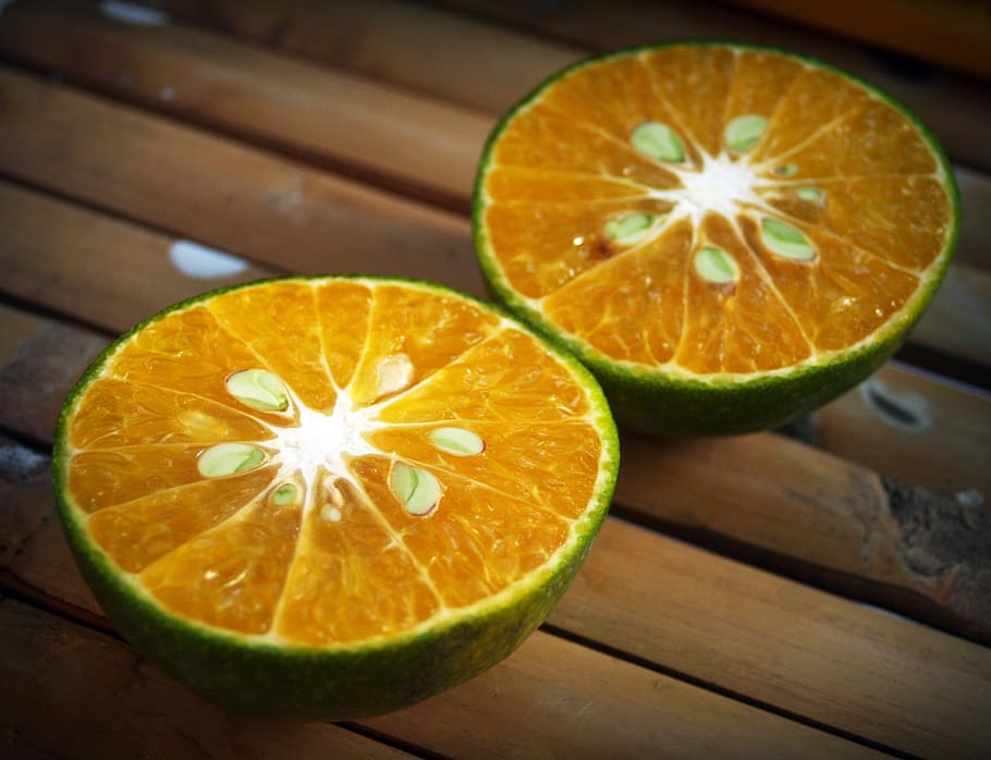 orange, fruit, slice, white, citrus, sour, isolated, agriculture HD wallpaper