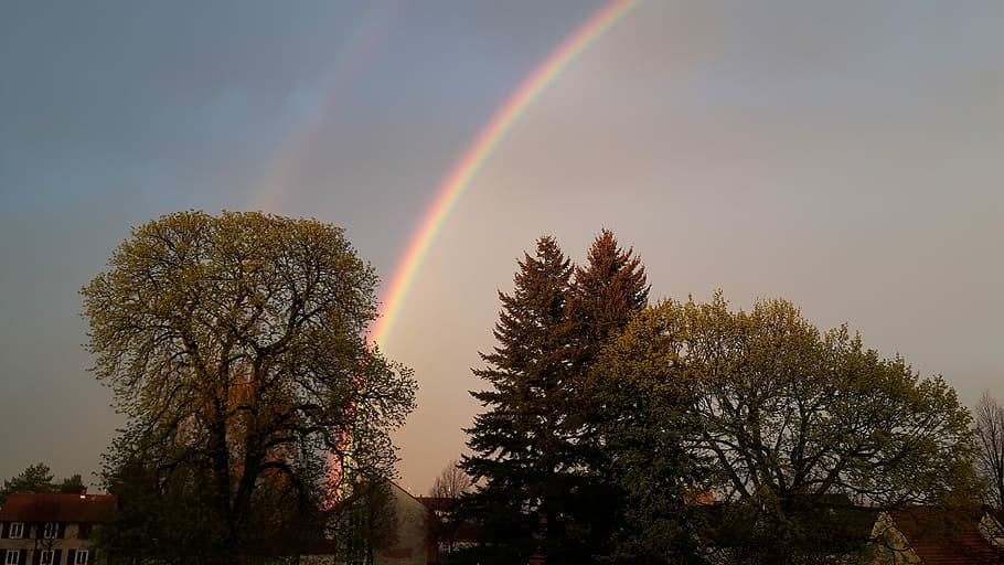 Rainbow, Light, Installation, Panorama, light installation HD wallpaper