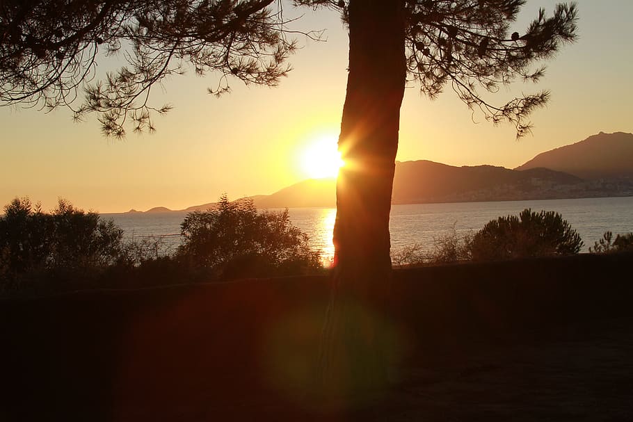 sunset, marinca, corsican, sky, beauty in nature, tranquility HD wallpaper
