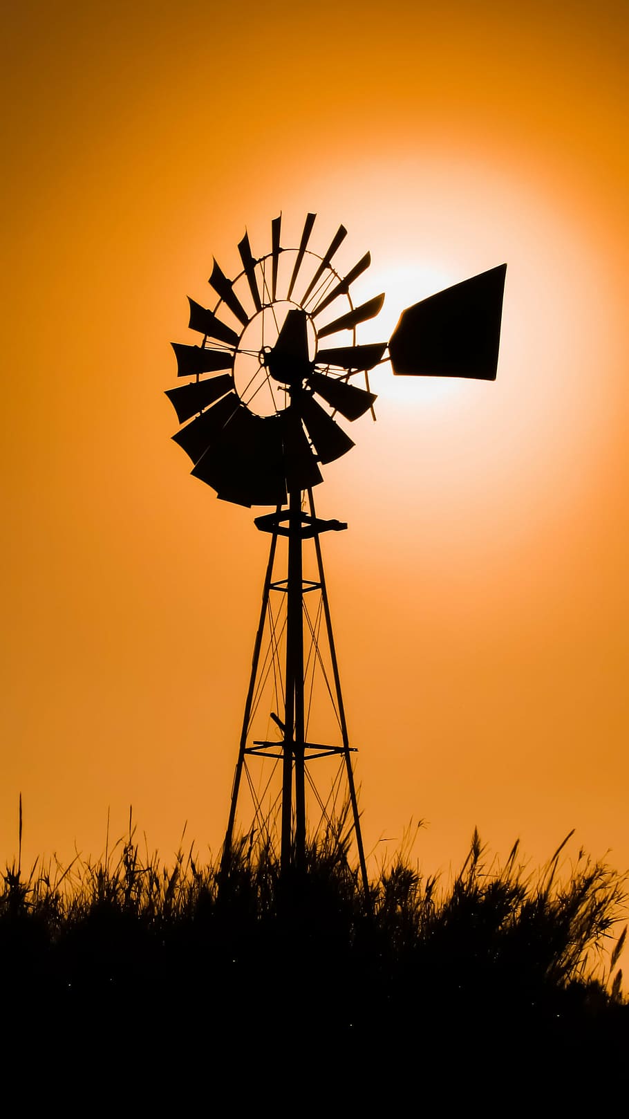 windmill, sun, sunlight, afternoon, reeds, shadows, environmental conservation HD wallpaper