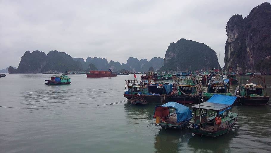 Halong Bay, Vietnam, Limestone, Boats, nautical Vessel, asia