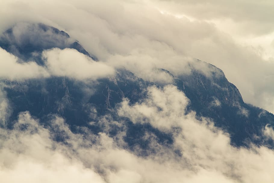 mountain, landscape, tree, plant, cloud, fogs, nature, cloud - sky HD wallpaper
