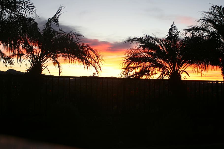 Sunrise, Morning, Clouds, Sunset, sunrise landscape, beautiful HD wallpaper