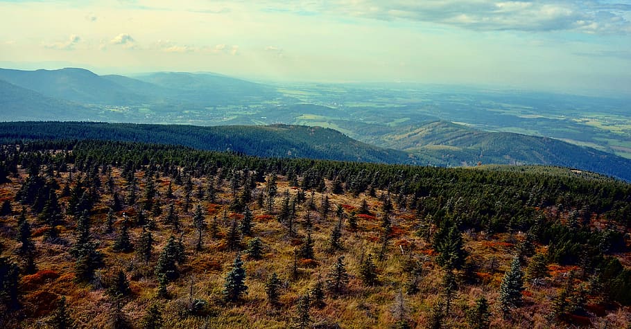 czech republic, spruce, panorama, beauty in nature, scenics - nature HD wallpaper