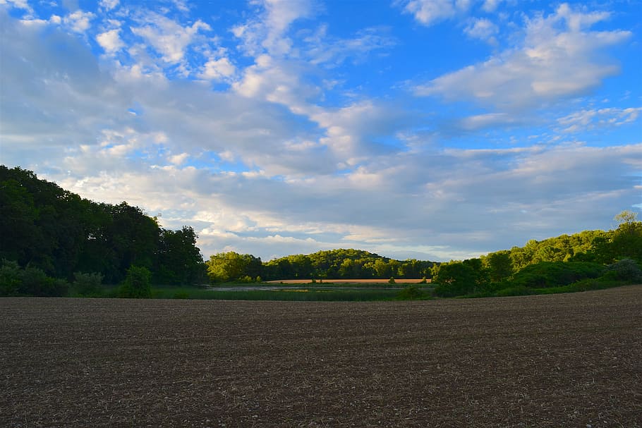 field, sky, evening, dusk, summer, nature, blue, rural, landscape HD wallpaper