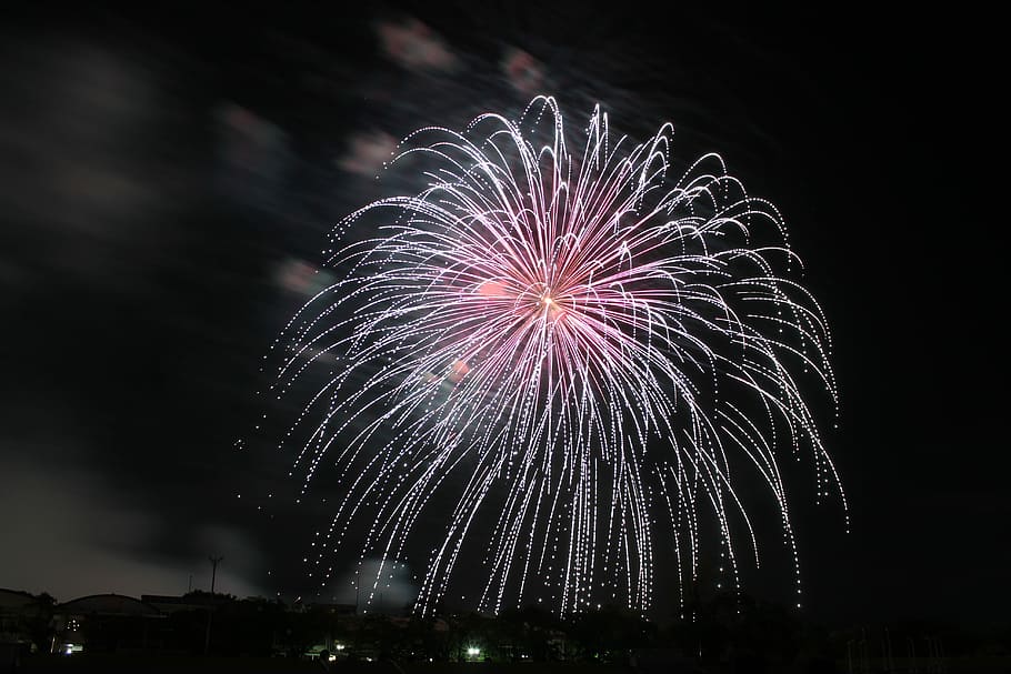 Fireworks, Fukushima, 37 fukushima fireworks festival, flowers in the sky, HD wallpaper