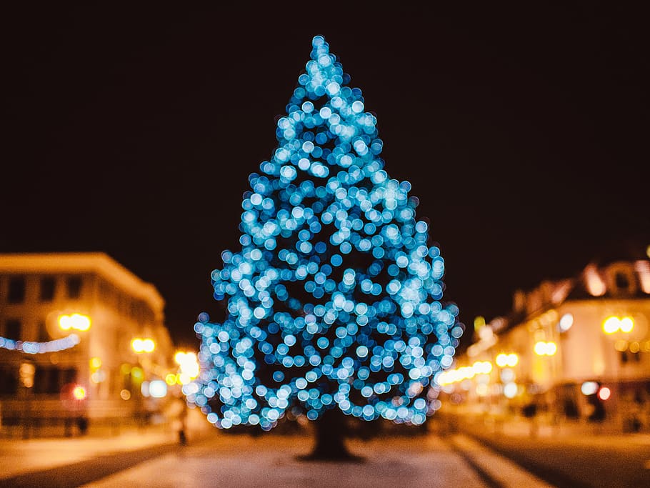 lighted blue Christmas tree, string, lights, night, time, decorations HD wallpaper