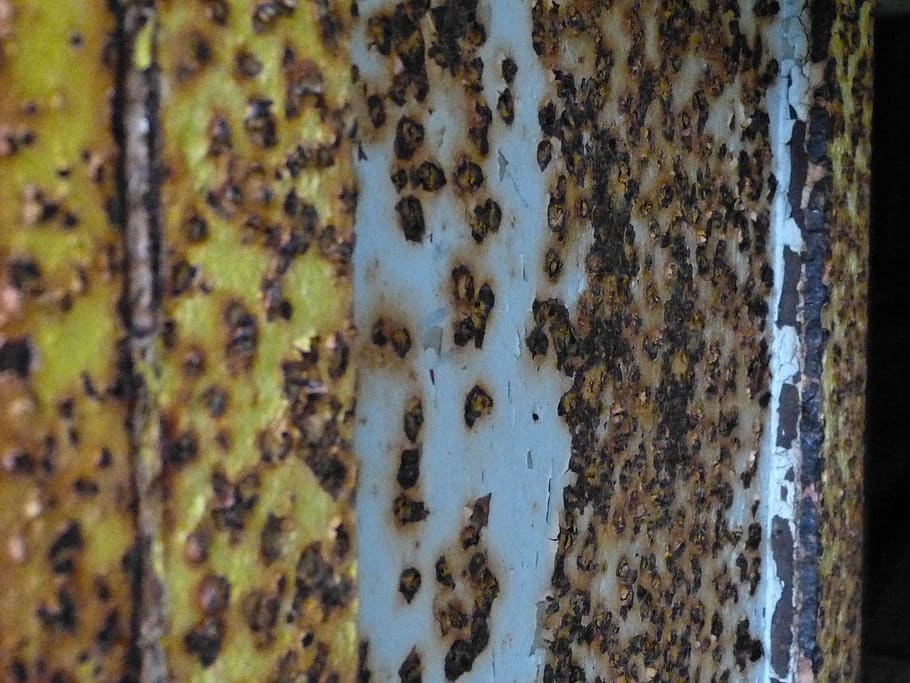 rust, background, plate, iron, rusted, weathered, textured HD wallpaper