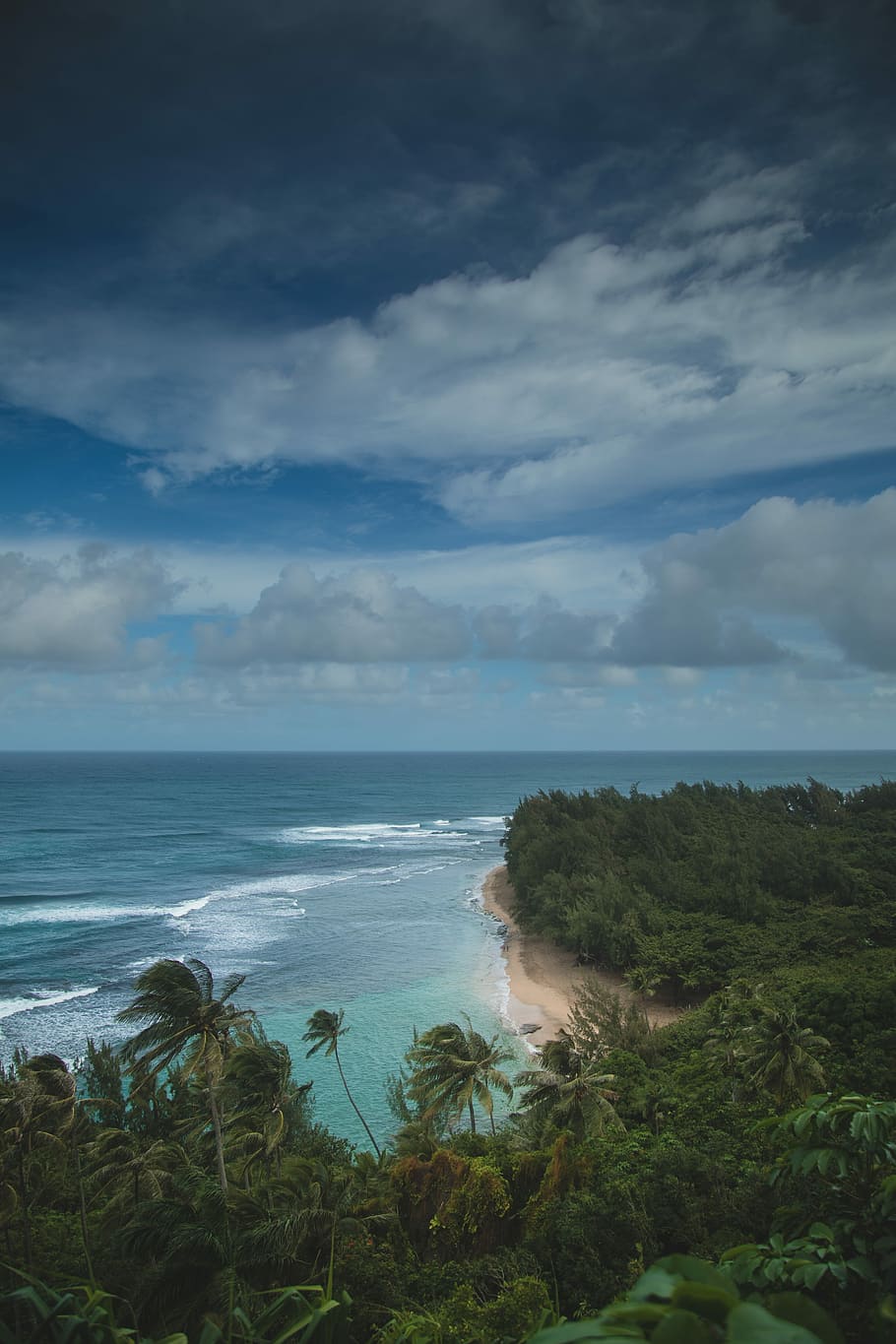 aerial photography of beach, high angle view of sea, cloud, ocean HD wallpaper