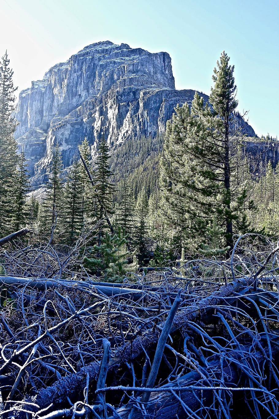 nature, wilderness, peak, mountains, outdoor, environment, forest HD wallpaper