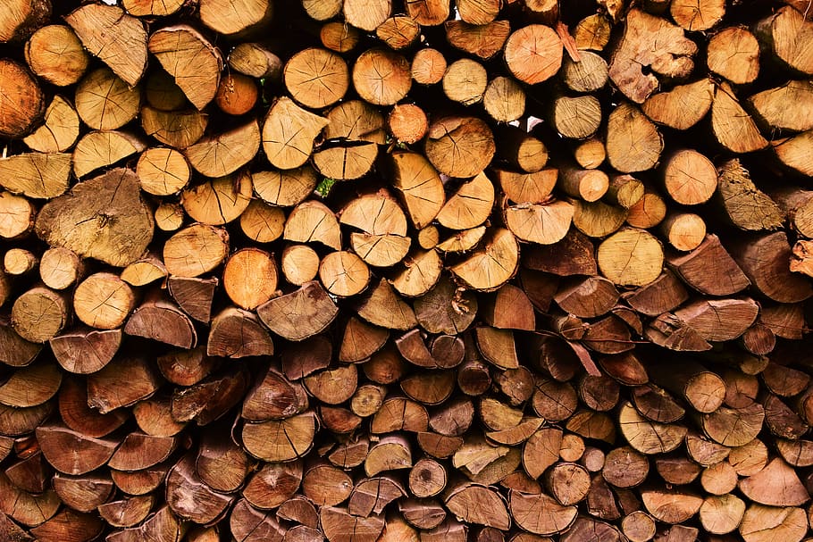 stack of firewood at daytime, brown firewoods, lumber, tree, nature background HD wallpaper
