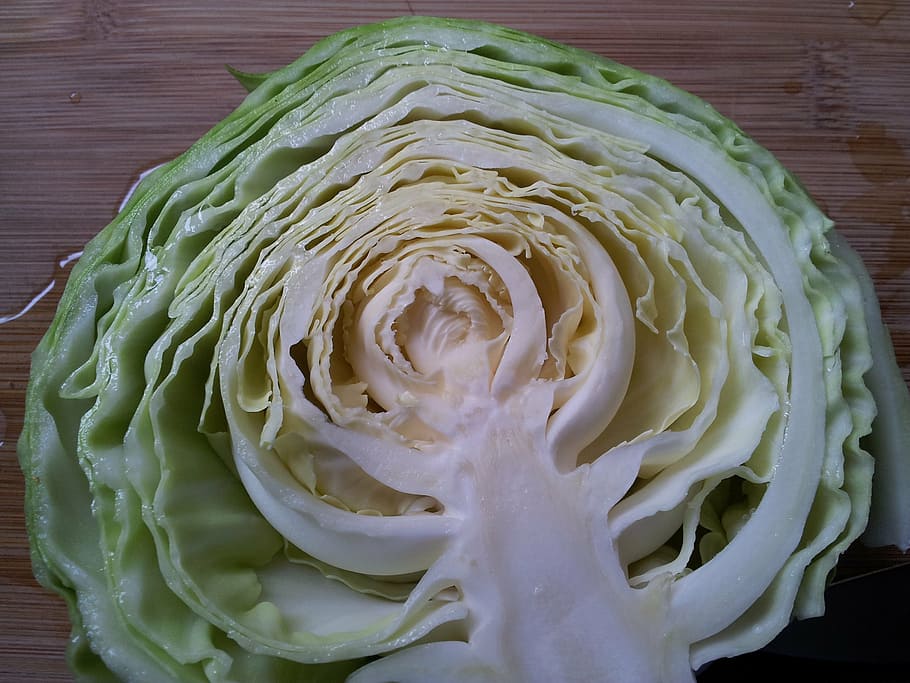 green cabbage, half, raw cabbage, vegetable, freshness, food HD wallpaper