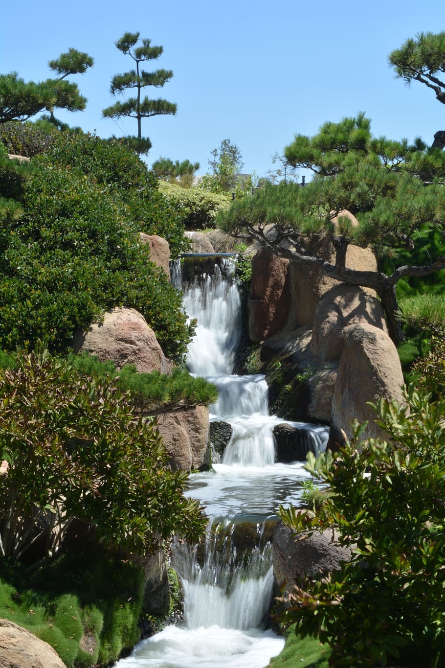 plant, view, trees, garden, water, motion, waterfall, scenics - nature HD wallpaper