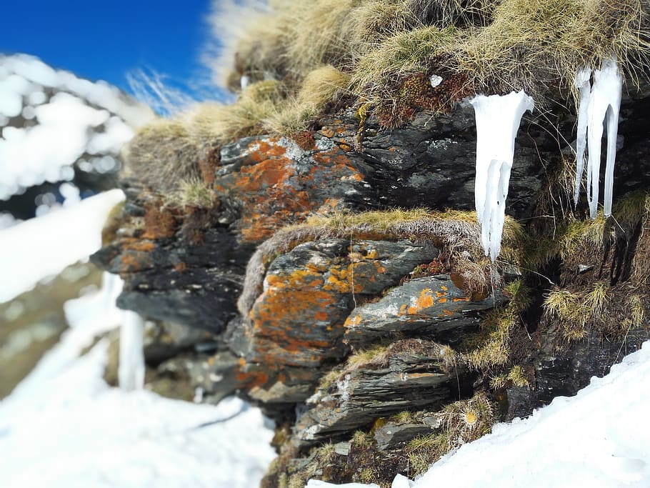 frozen, snow, nature, sky, december, winter, cold, ice, season HD wallpaper