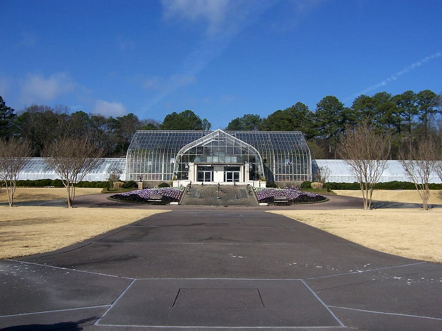 The Conservatory during winter in Birmingham, Alabama, photos, HD wallpaper