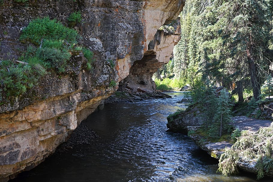 Creek, Mountain Stream, canyon stream, water, forest, scene HD wallpaper