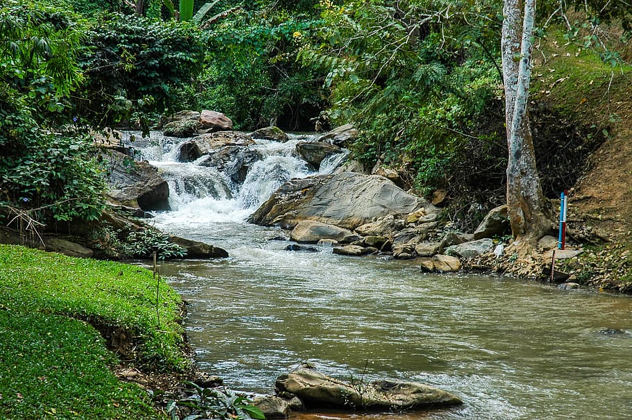 River, Landscape, Park, Trees, river landscape, water, nature HD wallpaper