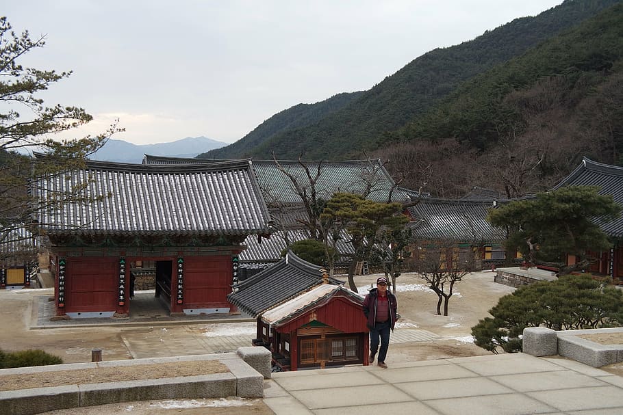temple, hwaeomsa, jiri, built structure, architecture, mountain HD wallpaper