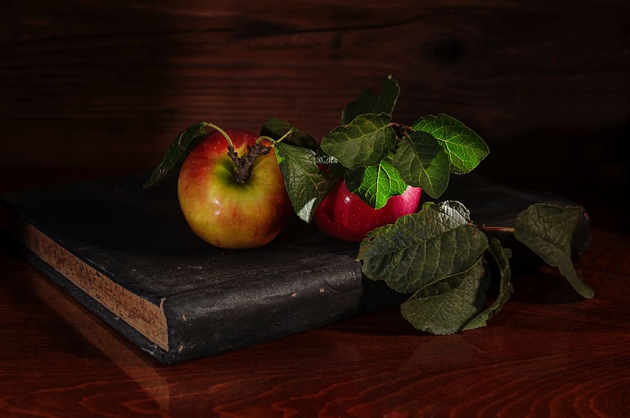 two red apple fruits on top of book, apples, notebook, autumn HD wallpaper