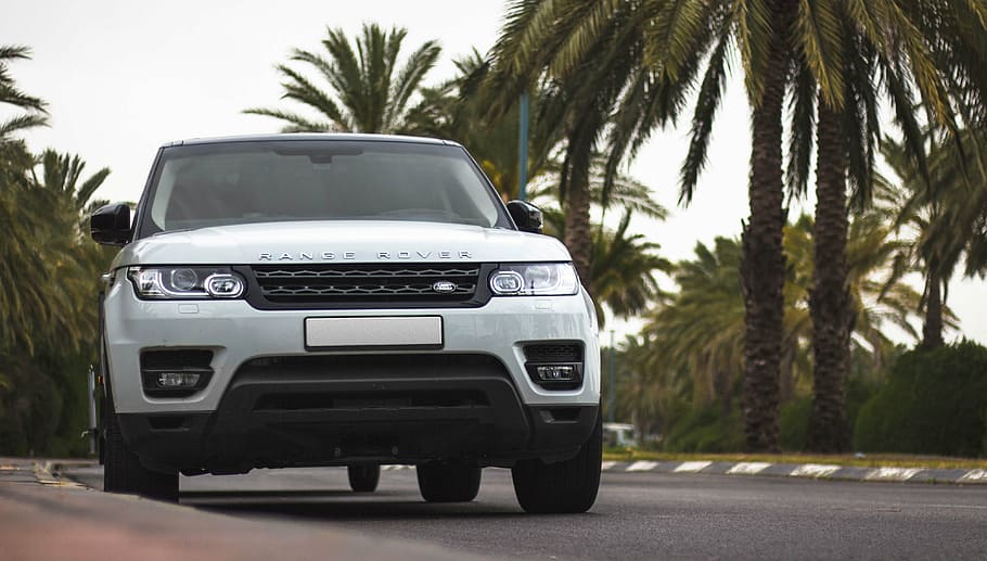 white Range Rover vehicle near green leafed trees, land rover HD wallpaper