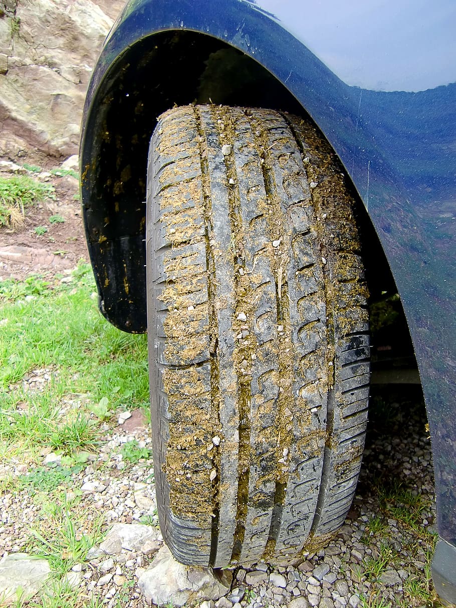 auto tires, profile, mature, rubber, mature age, wheel, dirt, HD wallpaper