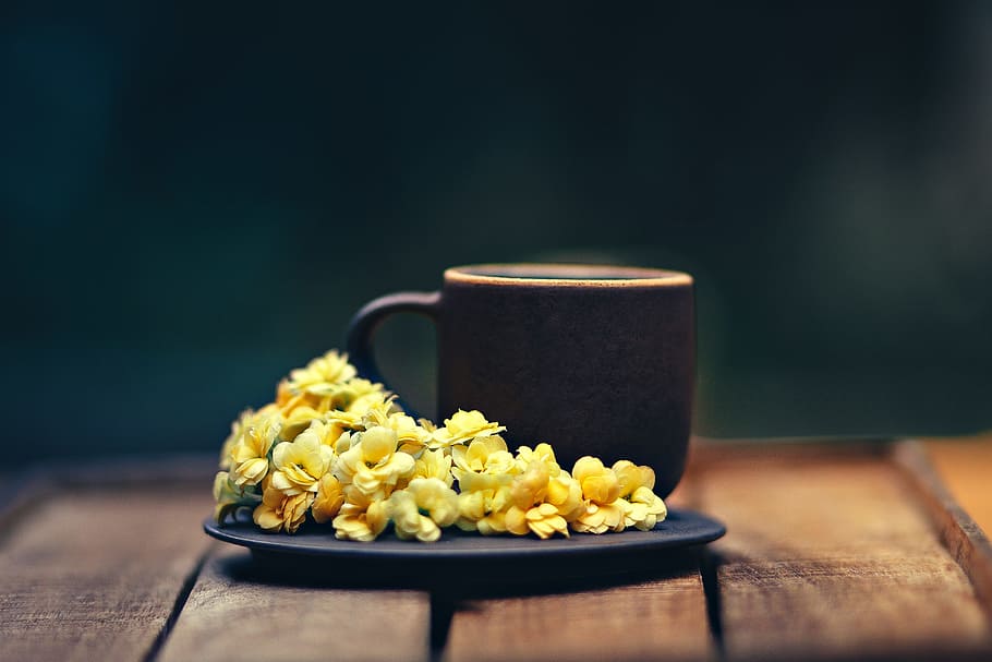 Cup and Flowers on Saucer Plate, beverage, blur, breakfast, caffeine