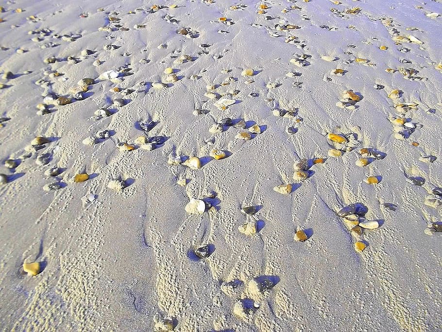 beach, stones, sand, denmark, land, day, high angle view, nature HD wallpaper