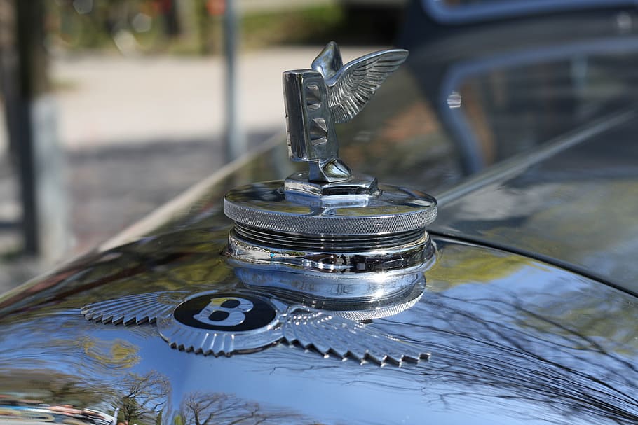 bentley badge, cool figure, oldtimer, car, metal, day, focus on foreground HD wallpaper
