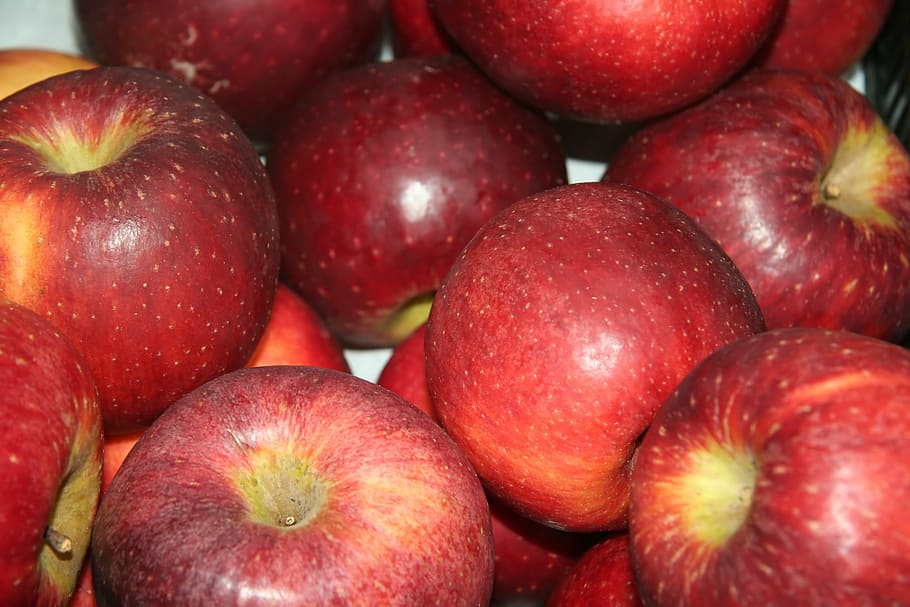 apple, fruit, fruit season, red, healthy eating, food and drink HD wallpaper