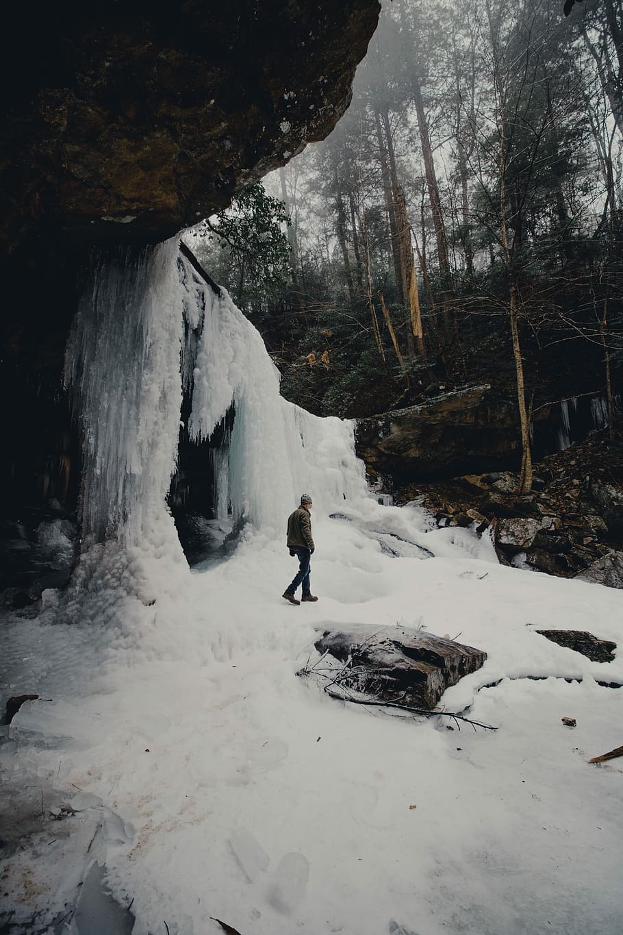 man walking near cave opening in middle of forest, man in gray coat standing on snow HD wallpaper