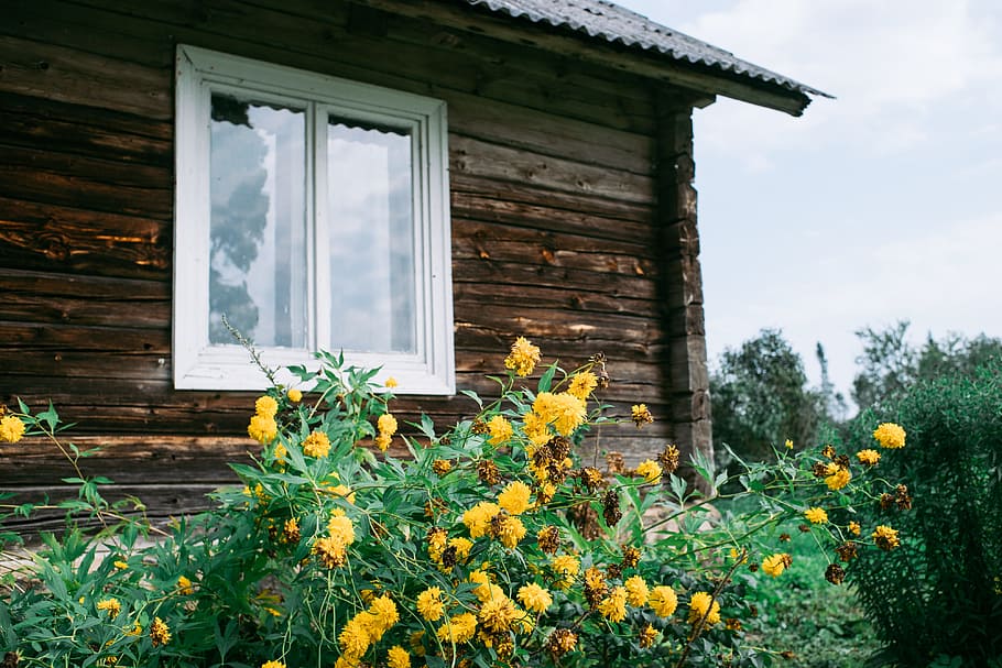 Old wooden country house, architecture and Cityscape, nature HD wallpaper