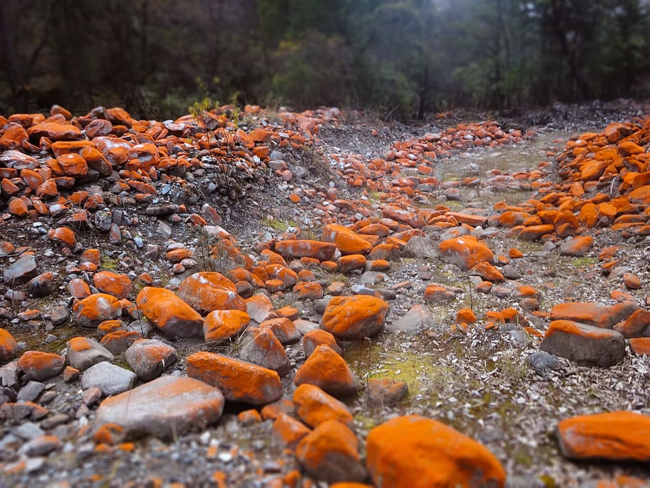Stone, Red, Road, orange color, nature, no people, outdoors HD wallpaper