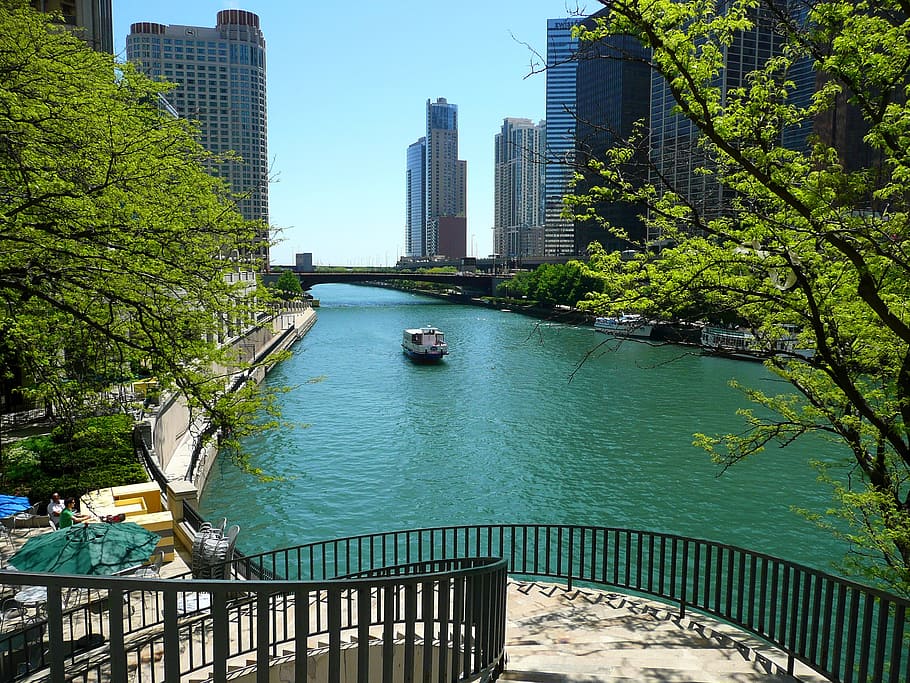 landscape photo of high raised building, Chicago, River, River, City