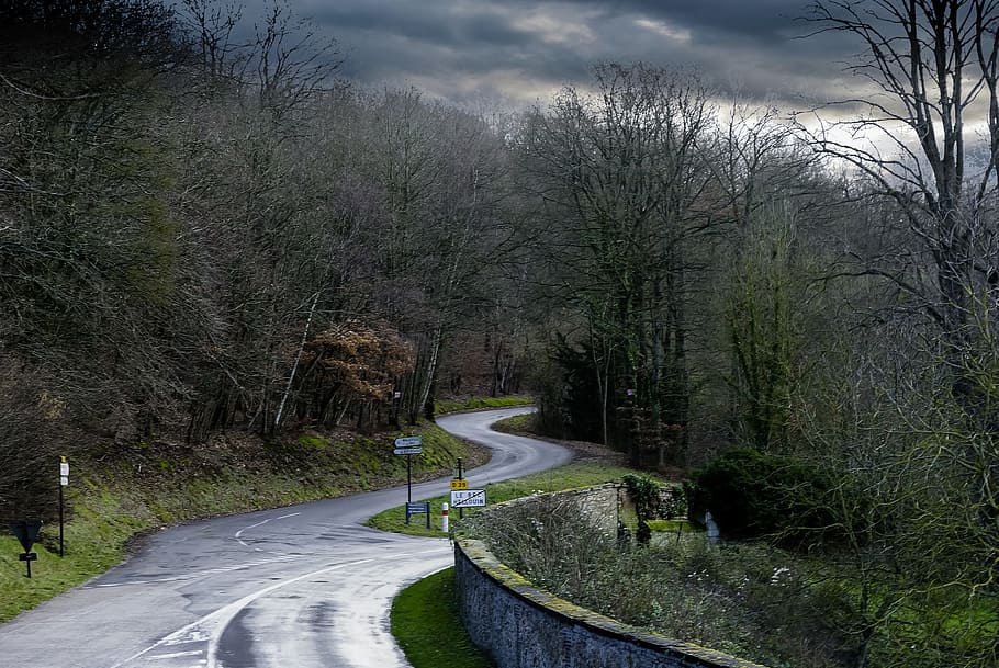 tree, nature, landscape, outdoor, panoramic, normandy, road HD wallpaper