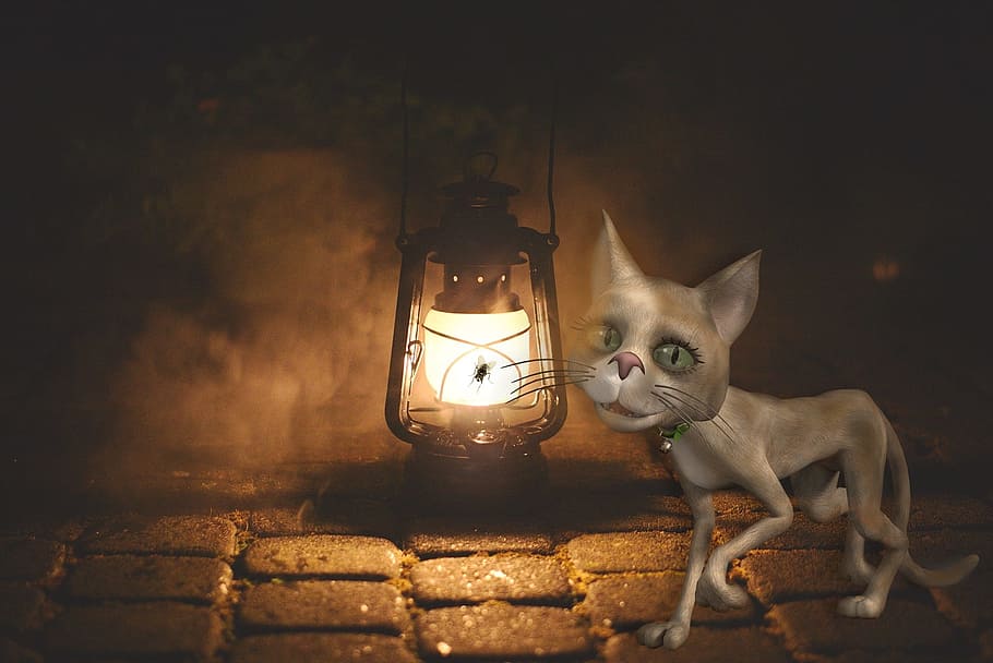 cat, replacement lamp, lighting, mood, street lamp, oil, old lamp HD wallpaper