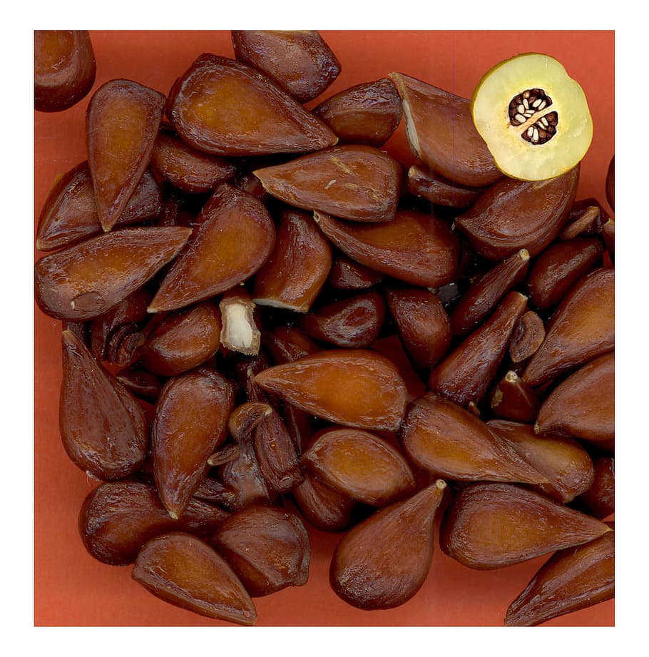 seeds, fruit, healthy, fresh, organic, vegetarian, snack, delicious HD wallpaper