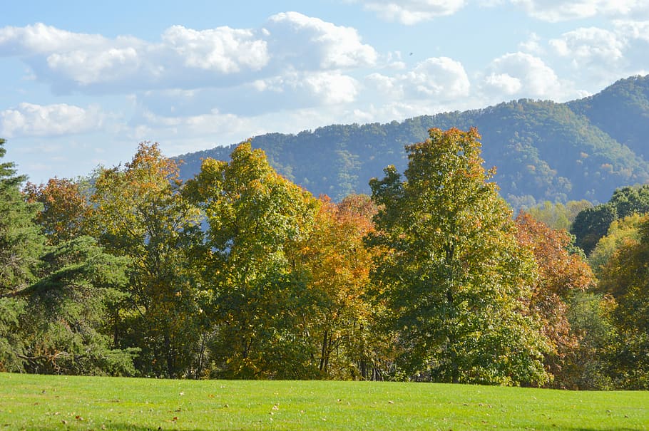 Lake, Autumn, Fall, Fall Foliage, landscape, nature, scene HD wallpaper